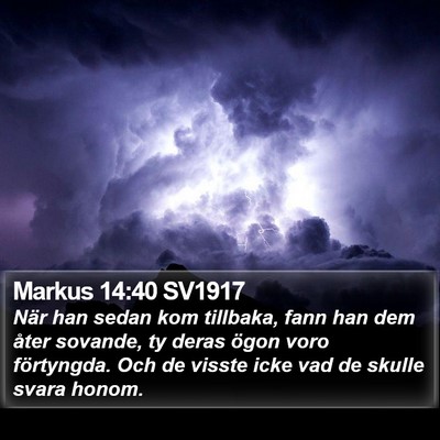 Markus 14:40 SV1917 Bible Verse Image