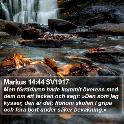 Markus 14:44 SV1917 Bible Verse Image