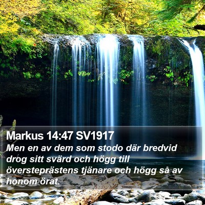 Markus 14:47 SV1917 Bible Verse Image