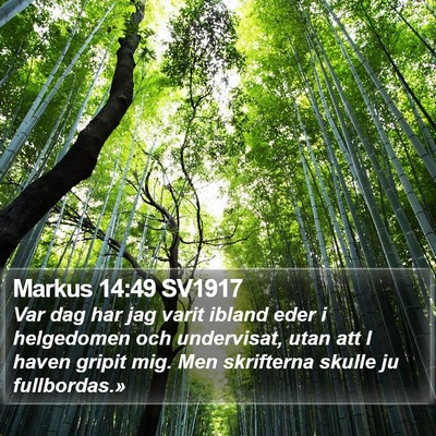 Markus 14:49 SV1917 Bible Verse Image