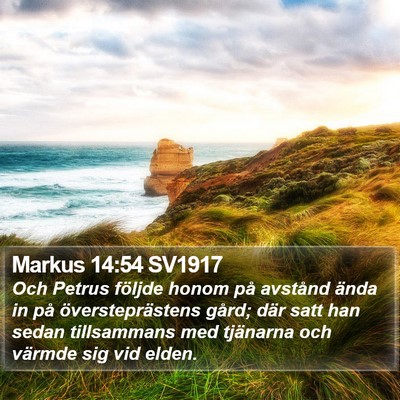 Markus 14:54 SV1917 Bible Verse Image