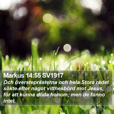 Markus 14:55 SV1917 Bible Verse Image