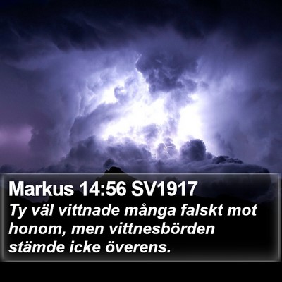 Markus 14:56 SV1917 Bible Verse Image