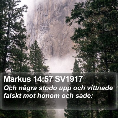 Markus 14:57 SV1917 Bible Verse Image