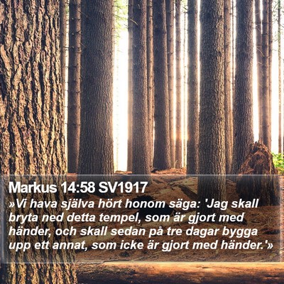 Markus 14:58 SV1917 Bible Verse Image