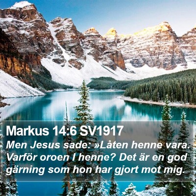 Markus 14:6 SV1917 Bible Verse Image