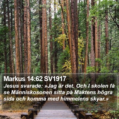 Markus 14:62 SV1917 Bible Verse Image