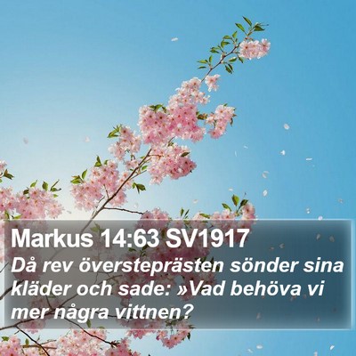 Markus 14:63 SV1917 Bible Verse Image