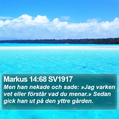 Markus 14:68 SV1917 Bible Verse Image