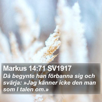 Markus 14:71 SV1917 Bible Verse Image