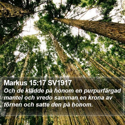 Markus 15:17 SV1917 Bible Verse Image