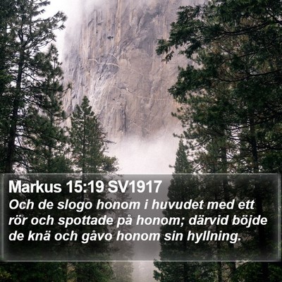 Markus 15:19 SV1917 Bible Verse Image