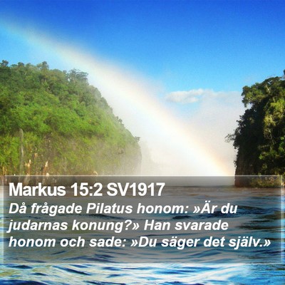 Markus 15:2 SV1917 Bible Verse Image