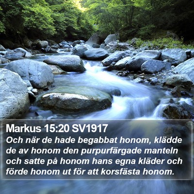 Markus 15:20 SV1917 Bible Verse Image