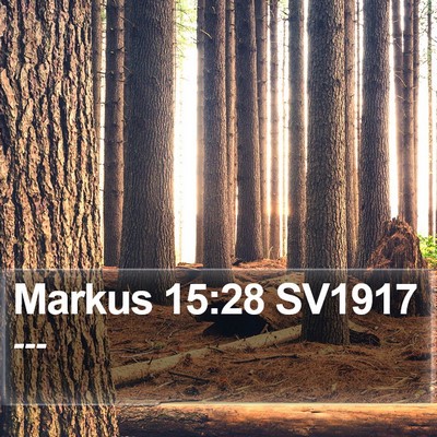 Markus 15:28 SV1917 Bible Verse Image