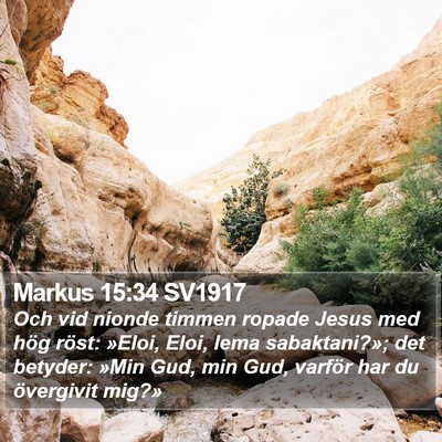 Markus 15:34 SV1917 Bible Verse Image