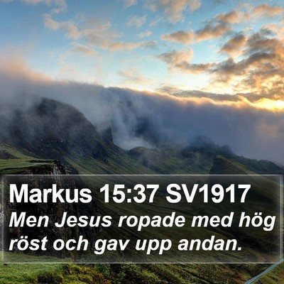 Markus 15:37 SV1917 Bible Verse Image