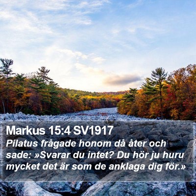 Markus 15:4 SV1917 Bible Verse Image