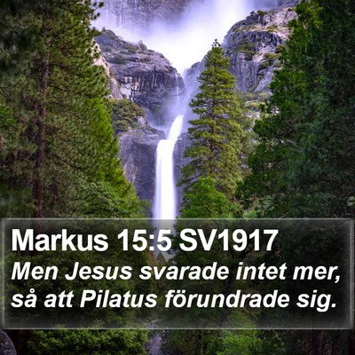 Markus 15:5 SV1917 Bible Verse Image