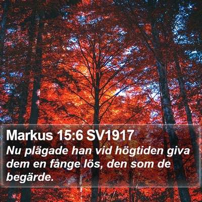 Markus 15:6 SV1917 Bible Verse Image
