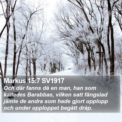 Markus 15:7 SV1917 Bible Verse Image