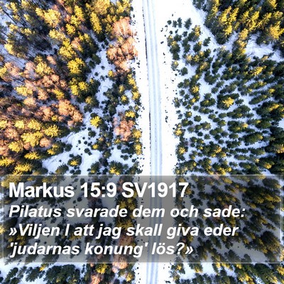 Markus 15:9 SV1917 Bible Verse Image