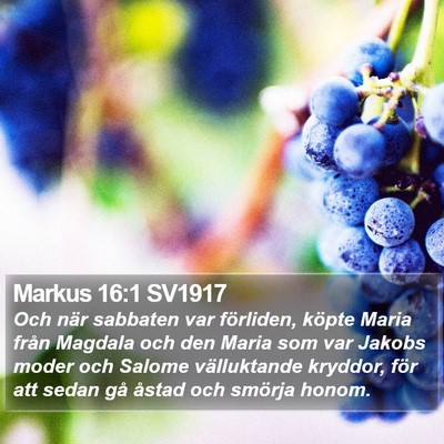 Markus 16:1 SV1917 Bible Verse Image