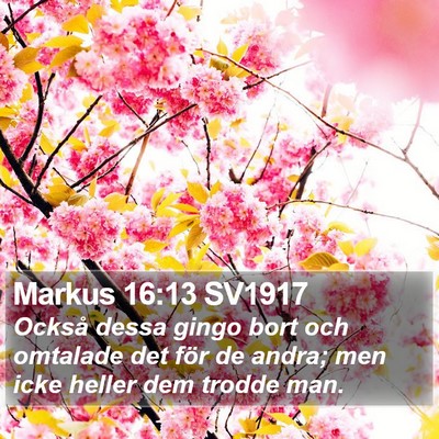 Markus 16:13 SV1917 Bible Verse Image