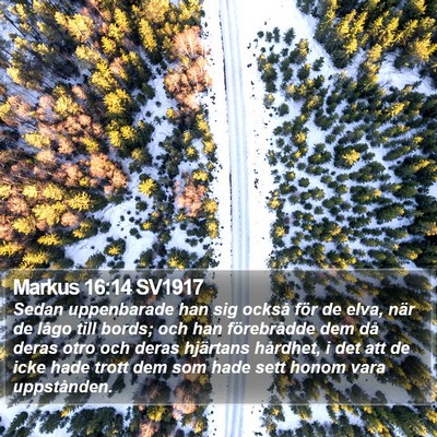 Markus 16:14 SV1917 Bible Verse Image