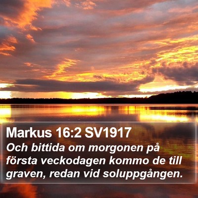 Markus 16:2 SV1917 Bible Verse Image