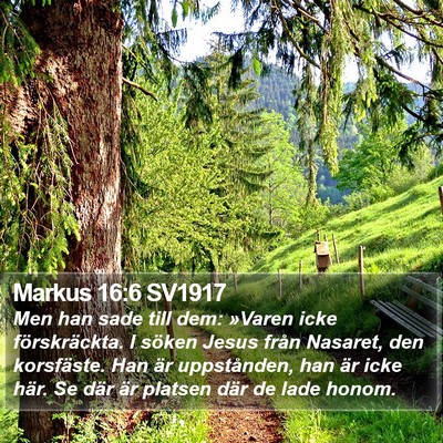 Markus 16:6 SV1917 Bible Verse Image