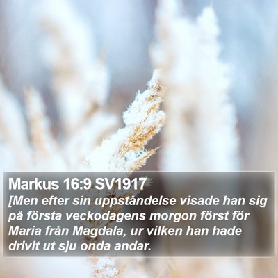 Markus 16:9 SV1917 Bible Verse Image