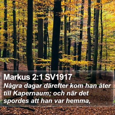 Markus 2:1 SV1917 Bible Verse Image