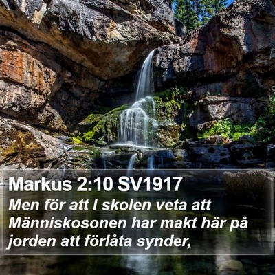 Markus 2:10 SV1917 Bible Verse Image
