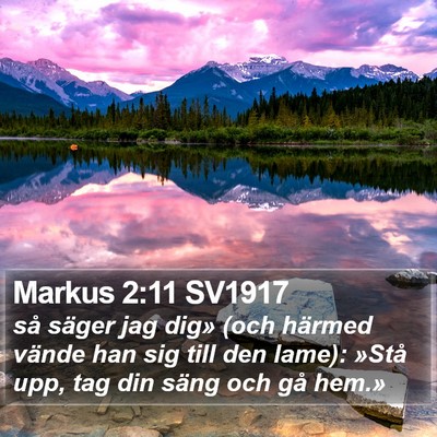 Markus 2:11 SV1917 Bible Verse Image
