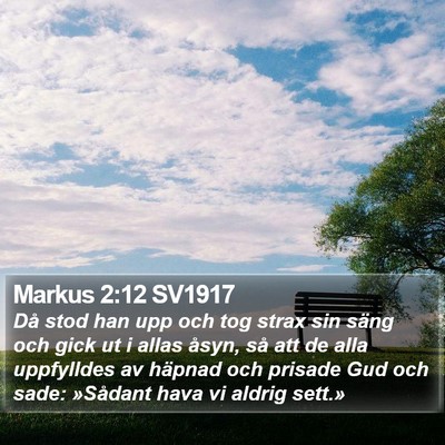 Markus 2:12 SV1917 Bible Verse Image