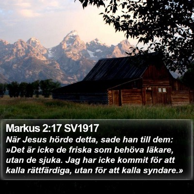 Markus 2:17 SV1917 Bible Verse Image