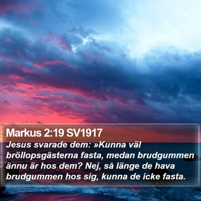 Markus 2:19 SV1917 Bible Verse Image