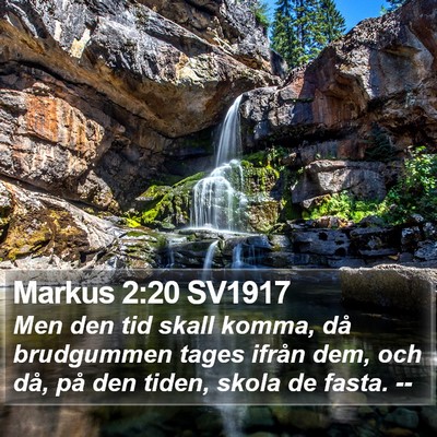 Markus 2:20 SV1917 Bible Verse Image