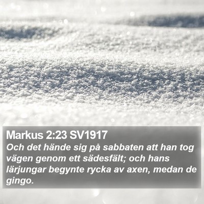 Markus 2:23 SV1917 Bible Verse Image