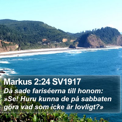 Markus 2:24 SV1917 Bible Verse Image