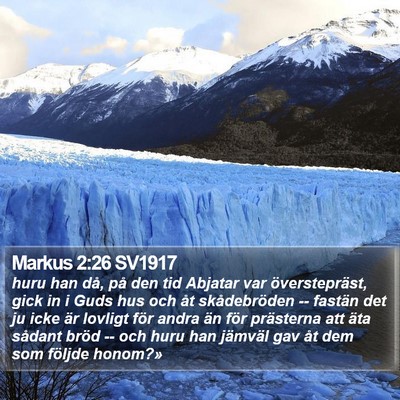 Markus 2:26 SV1917 Bible Verse Image