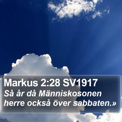 Markus 2:28 SV1917 Bible Verse Image