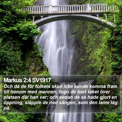 Markus 2:4 SV1917 Bible Verse Image