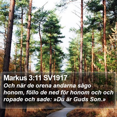 Markus 3:11 SV1917 Bible Verse Image