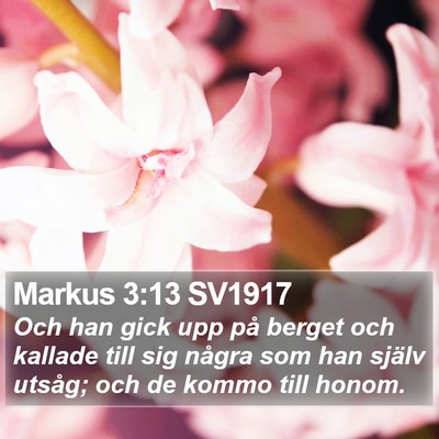 Markus 3:13 SV1917 Bible Verse Image