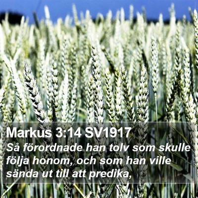 Markus 3:14 SV1917 Bible Verse Image