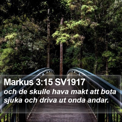Markus 3:15 SV1917 Bible Verse Image