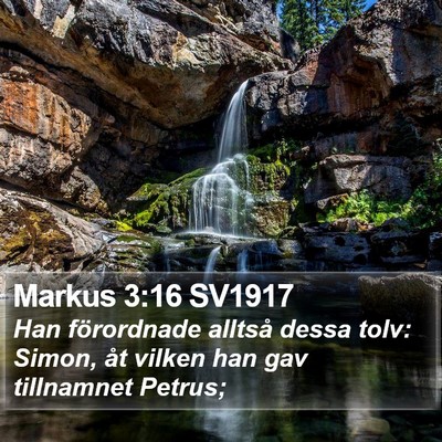 Markus 3:16 SV1917 Bible Verse Image