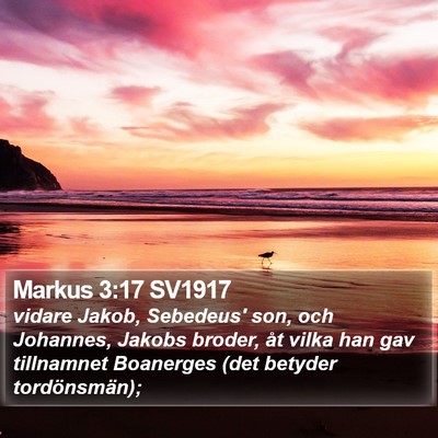 Markus 3:17 SV1917 Bible Verse Image